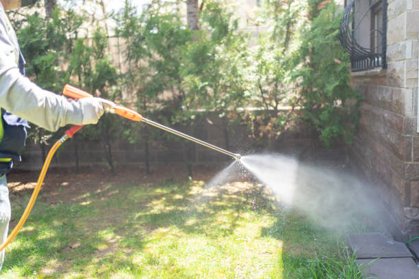 Best Local Pest Control Services  in Brazil, IN